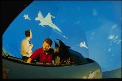 Real F16 Simulator