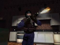 SWAT 3