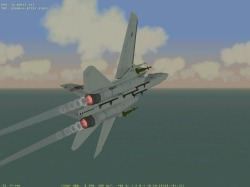 Flanker Tomcat